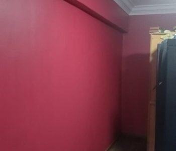 whole-unit-repaint-before-move-in